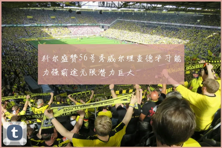 科尔盛赞56号秀威尔理查德学习能力强前途无限潜力巨大