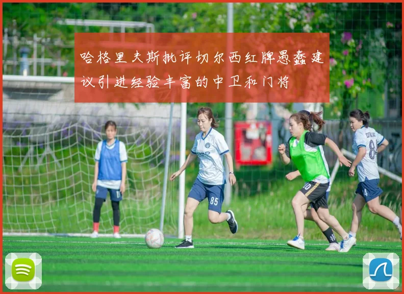 哈格里夫斯批评切尔西红牌愚蠢建议引进经验丰富的中卫和门将