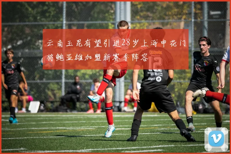 云南玉昆有望引进28岁上海申花门将鲍亚雄加盟新赛季阵容