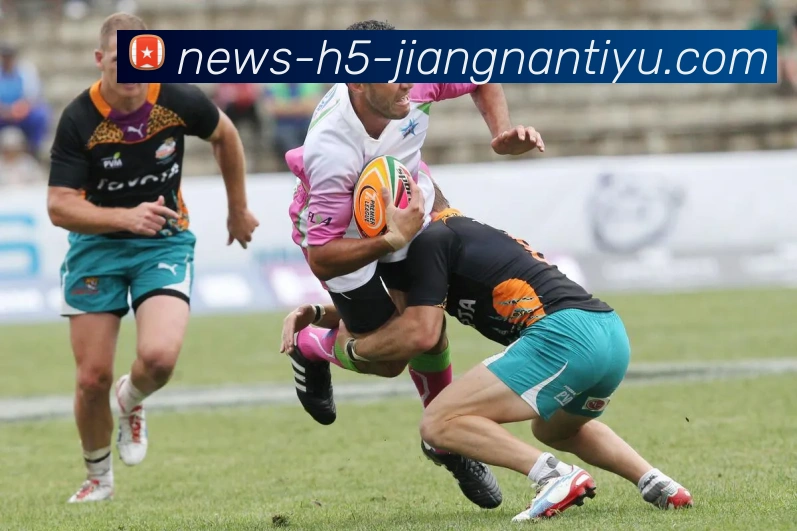 江南体育平台生态图